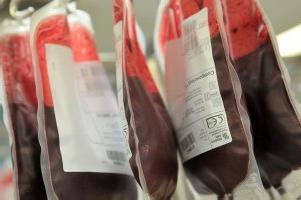 献血：規則、訓練、条件、結果